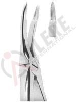 Extracting Forceps With Anatomically Shaped Handle