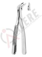 Extracting Forceps American pattern 