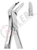 Extracting Forceps American pattern 