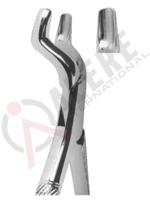 Extracting Forceps American pattern 