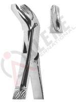 Extracting Forceps American pattern 