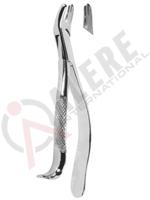 Extracting Forceps American pattern 