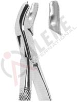 Extracting Forceps American pattern 