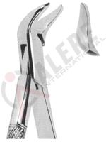 Extracting Forceps American pattern 