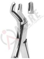 Extracting Forceps American pattern 