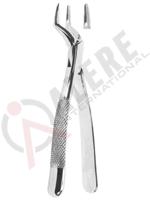 Extracting Forceps American pattern 