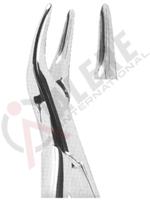 Extracting Forceps American pattern 