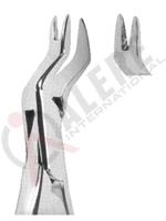 Extracting Forceps American pattern 