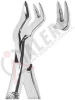 Extracting Forceps American pattern 