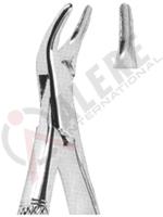 Extracting Forceps American pattern 