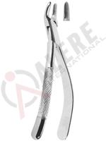 Extracting Forceps American pattern 