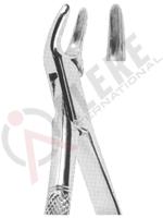 Extracting Forceps American pattern 