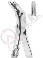 Extracting Forceps American pattern 