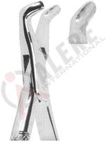 Extracting Forceps American pattern 