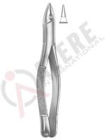 Extracting Forceps American pattern 