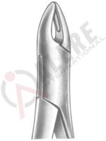 Extracting Forceps American pattern 