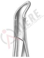 Extracting Forceps American pattern 