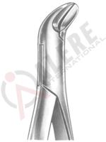 Extracting Forceps American pattern 