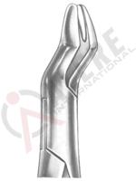 Extracting Forceps American pattern 