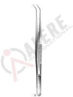 Delicate Dissecting Forceps