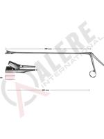 Biopsy forceps for rectum